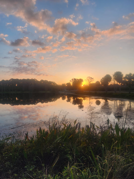 LYU's Epic Adventures & Events